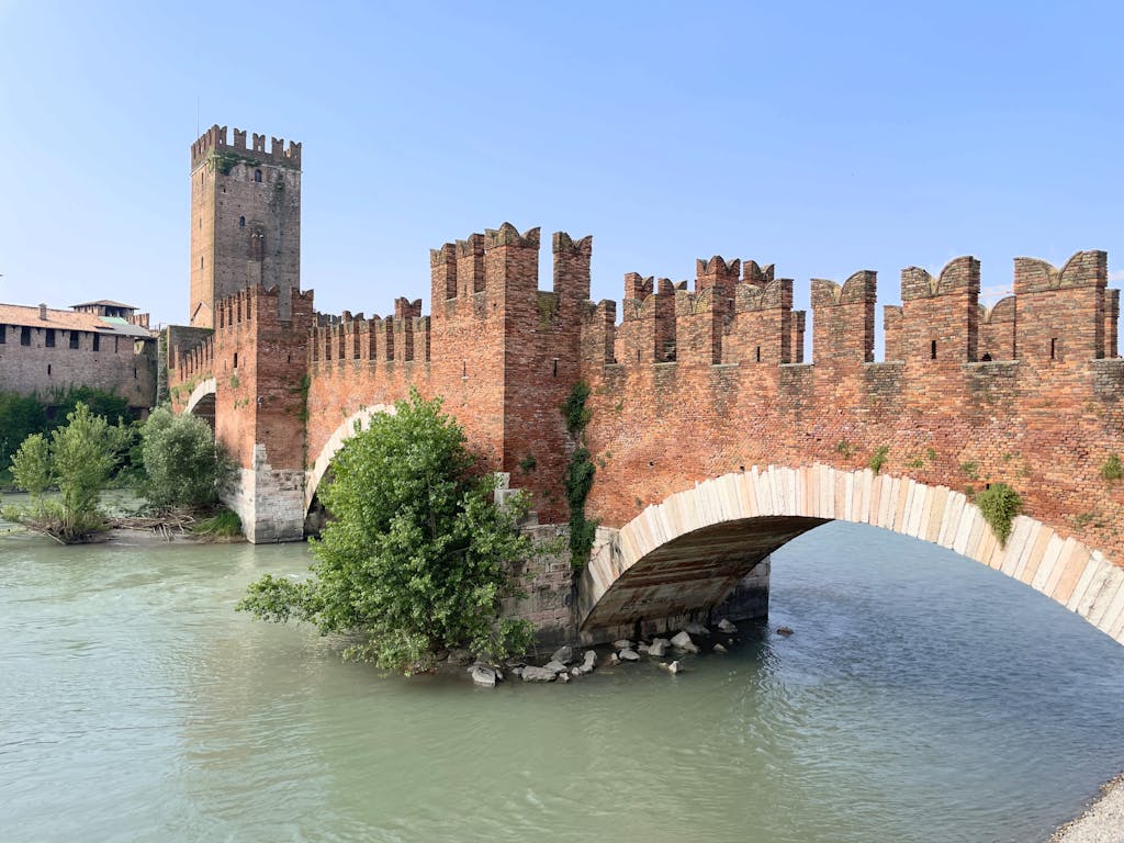  uomo cerca uomo Verona
