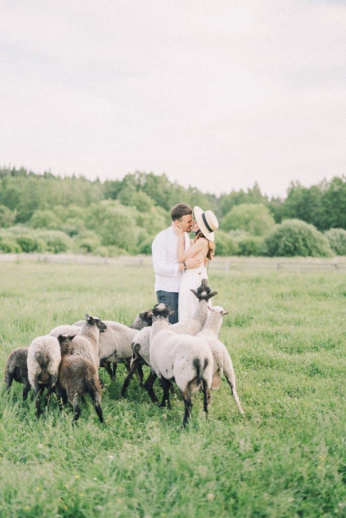 A couple embraces romantically in a green pasture surrounded by sheep on a sunny day.