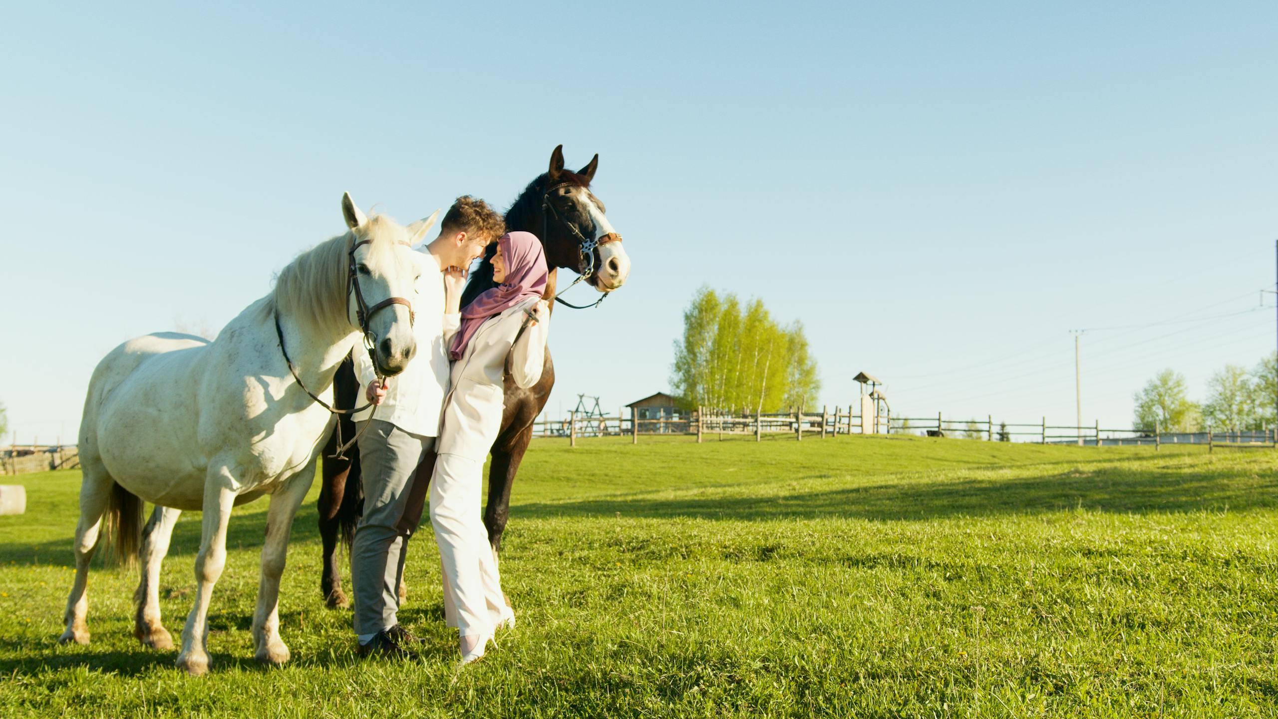 Embracing Simplicity: A Guide to a Clearer Life