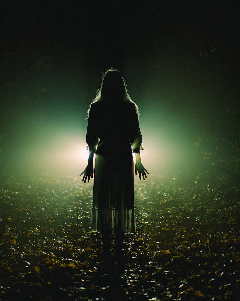A silhouette of a woman stands eerily in a misty forest at night, illuminated by a bright spotlight.