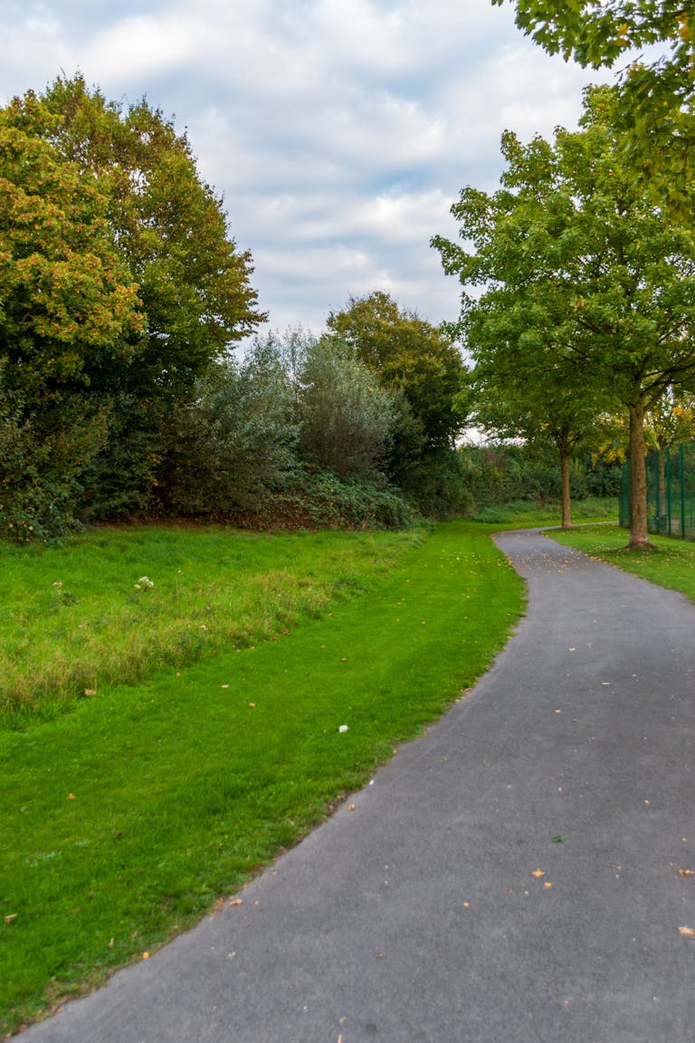 Health ThreeTrees com vn park during autumn, with vibrant green grass and trees.
