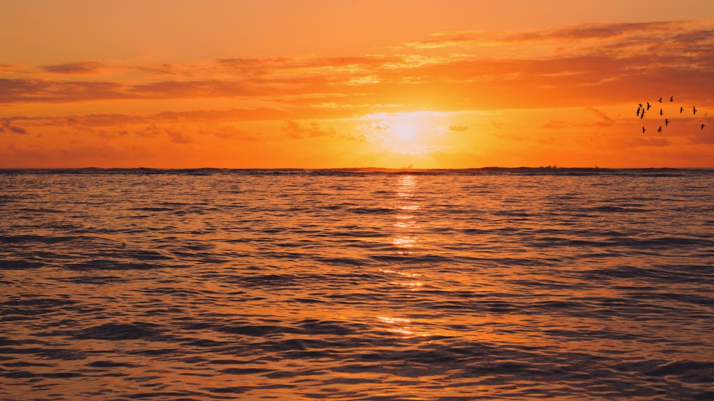 Juntos Seguros Breathtaking view of a sunset over the ocean at Porto Seguro, Brazil.