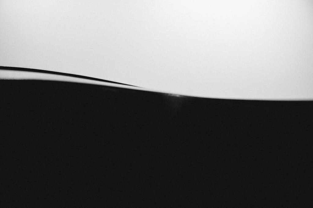 Mansutfer Minimalist abstract black and white image showcasing smooth wave-like forms.