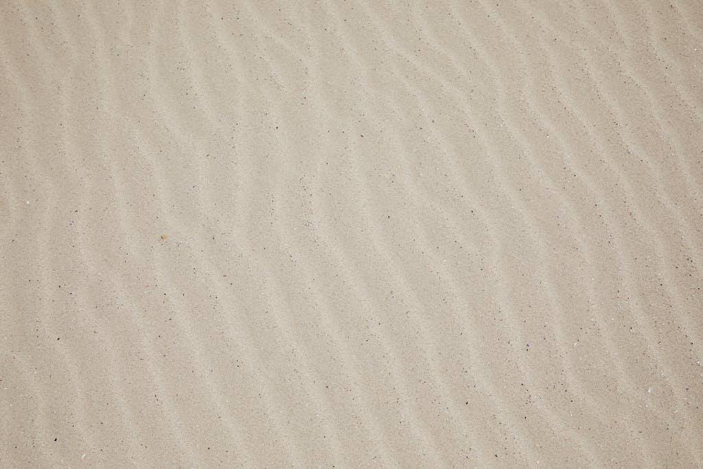 Fraboc Top view of empty dry plain surface of beach covered with sand in daytime